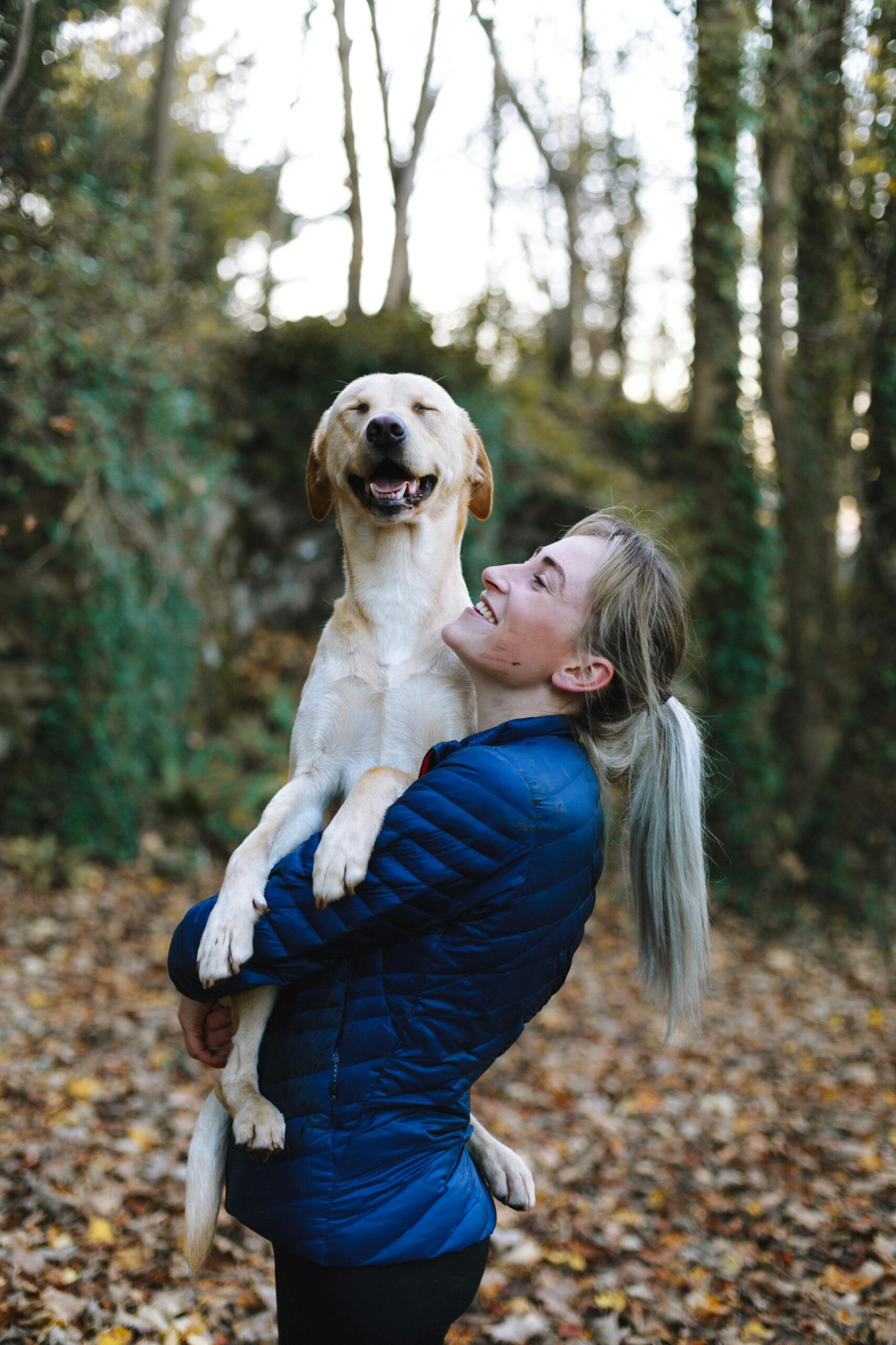 A happy pet companion